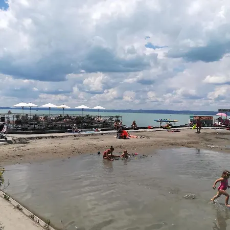House And Apts. In Balaton 35519