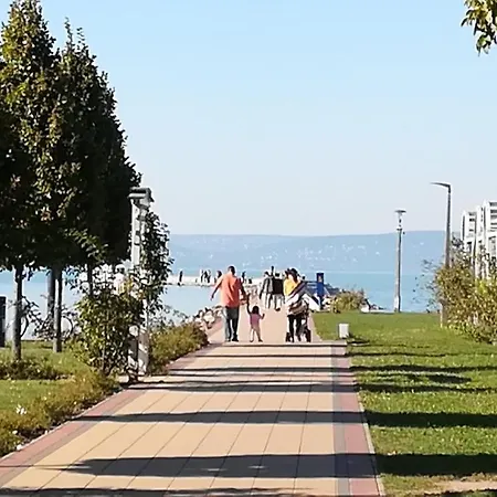 House And Apts. In Balaton 35519